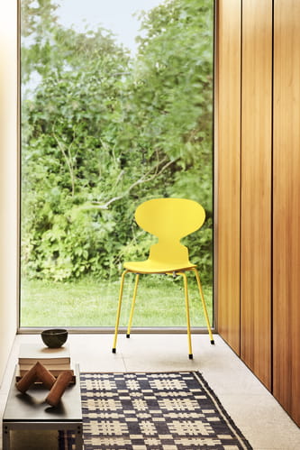 11855_Ant_ Pale yellow.jpg