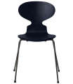3101-ant_midnight-blue_coloured-ash_warm-graphite-base-png.png