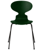 3101-ant_evergreen_coloured-ash_black-base-png.png