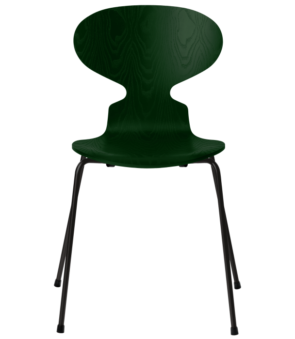 3101-ant_evergreen_coloured-ash_black-base-png.png