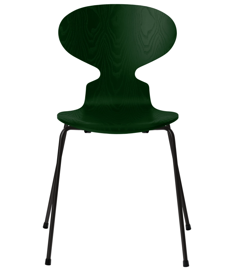 3101-ant_evergreen_coloured-ash_black-base-png.png