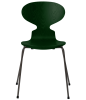 3101-ant_evergreen_coloured-ash_warm-graphite-base-png.png