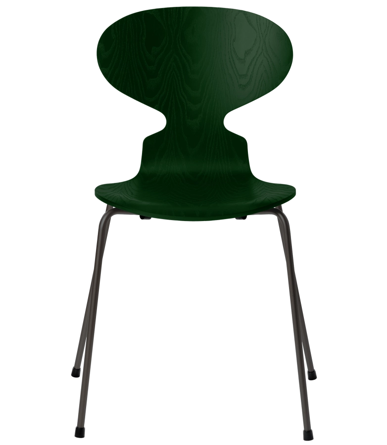 3101-ant_evergreen_coloured-ash_warm-graphite-base-png.png