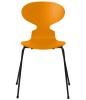 3101-ant_burnt-yellow_coloured-ash_black-base-png.png