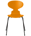 3101-ant_burnt-yellow_coloured-ash_black-base-png.png
