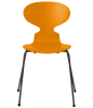 3101-ant_burnt-yellow_coloured-ash_warm-graphite-base-png.png