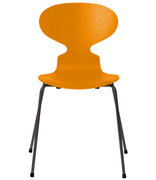 3101-ant_burnt-yellow_coloured-ash_warm-graphite-base-png.png