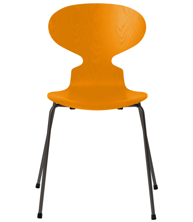 3101-ant_burnt-yellow_coloured-ash_warm-graphite-base-png.png