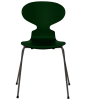 3101-ant_evergreen_lacquered_warm-graphite-base-png.png