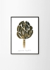 Nygårds_Maria_Bengtsson_Magnolia_Frame_Black_Oak_Low_Res-800x1120.jpg