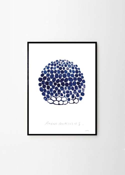 Nygårds_Maria_Bengtsson_Rubus_Frame_Black_Oak_Low_Res-800x1120.jpg