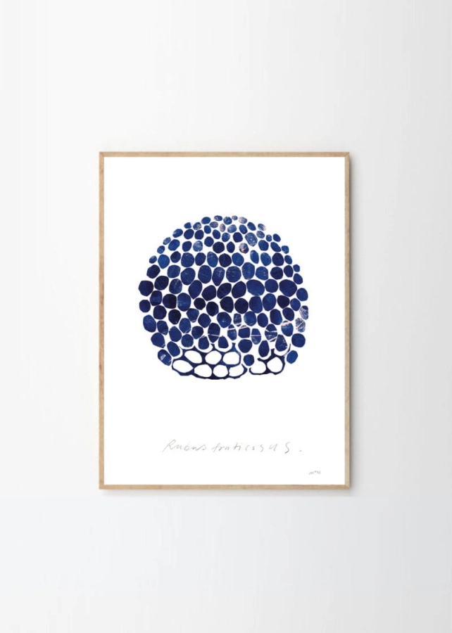 Nygårds_Maria_Bengtsson_Rubus_Frame_Oak_Low_Res-800x1120.jpg