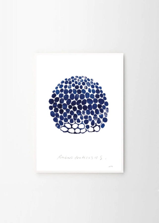 Nygårds_Maria_Bengtsson_Rubus_Frame_White_Oak_Low_Res-800x1120.jpg