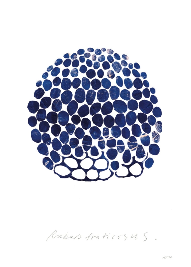 Nygårds_Maria_Bengtsson_Rubus_Product_Low_Res-800x1120.jpg