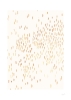 silke-bonde-golden-field-800x1121.jpg