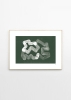 Tenna_Elisabeth_Studio_Lineshape_05_Frame_Oak-800x1120.jpg