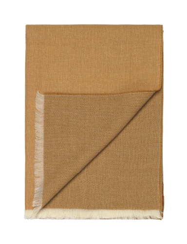 6154.jpg