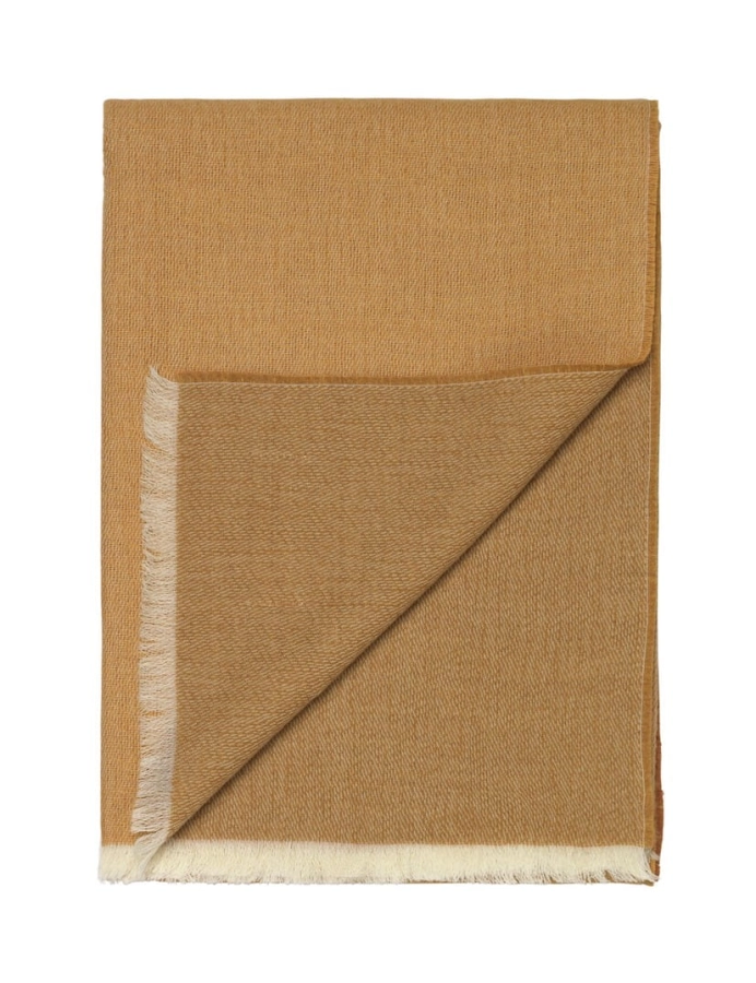 6154.jpg
