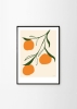 Anna_Morner_Orange_Frame_Black_Oak_Low_Res-800x1120.jpg