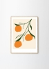 Anna_Morner_Orange_Frame_Oak_Low_Res-800x1120.jpg