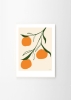 Anna_Morner_Orange_Frame_White_Oak_Low_Res-800x1120.jpg