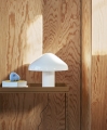 Pao Glass Table Lamp 350 white_W and S Little Lion Sculpture light blue_Tray Table toffee.jpg