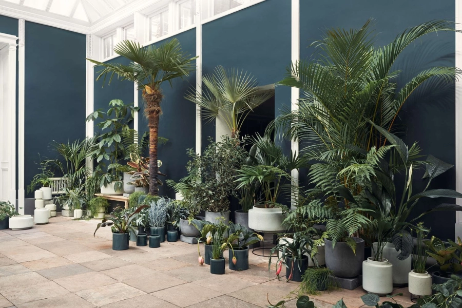botanique-podium-path.jpg