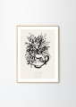 Lemon_Condolences_04_Frame_Oak_Low_Res.jpg
