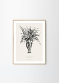 Lemon_Condolences_02_Frame_Oak_Low_Res.jpg