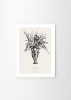 Lemon_Condolences_02_Frame_White_Oak_Low_Res.jpg