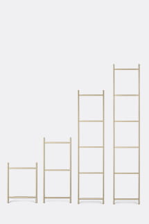 LADDER.jpg