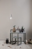 41_stjerne_10357.jpg