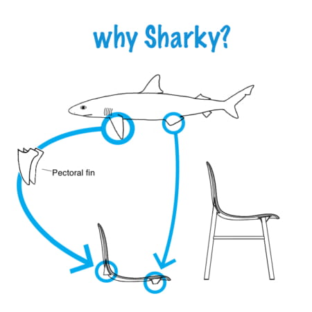 whySharky-450x450.jpg