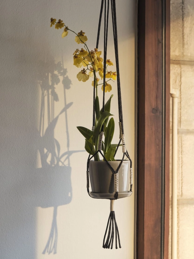 Phanta Plant Hanger black_Botanical Family light grey.jpg