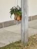 Phanta Plant Hanger light blue_Botanical Family caramel.jpg