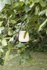 ATD_Retail_2021_Lucca SC51 Black.jpg