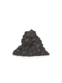 berg sc 1.png