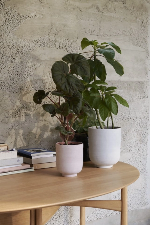 ATD_2021_Retail_Collect Planter SC70,SC72_Drop Leaf HM6.jpg