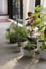 ATD_2021_Retail_Collect Planter SC69-SC72.jpg