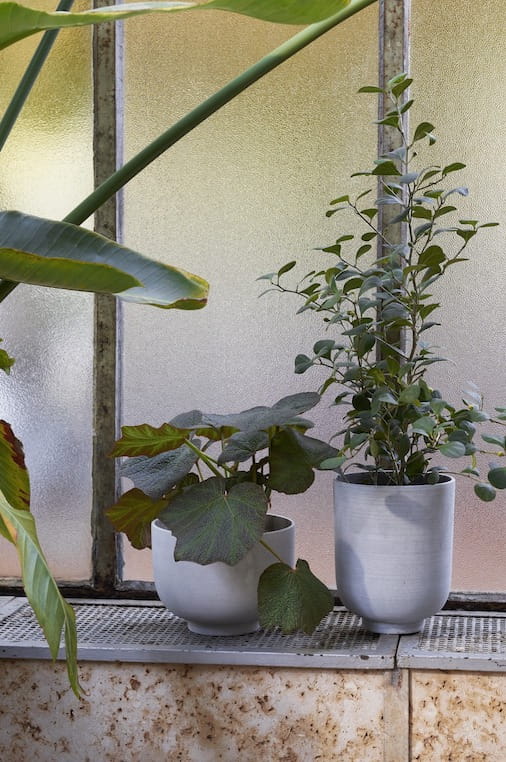 ATD_Retail_2021_Planter SC71 &amp; SC72.jpg