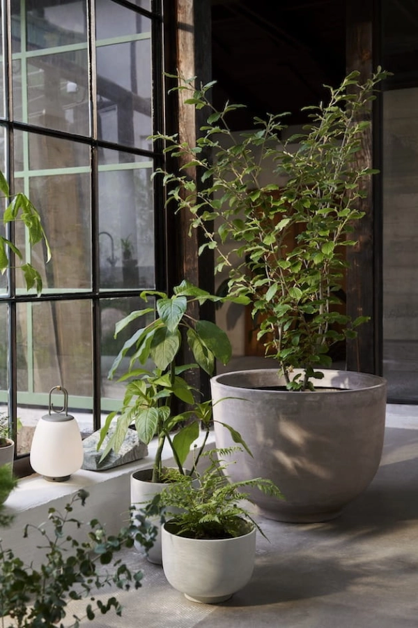 ATD_2021_Retail_Collect Planter SC43, SC71, SC72_Lucca SC51.jpg