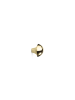 mu3.png