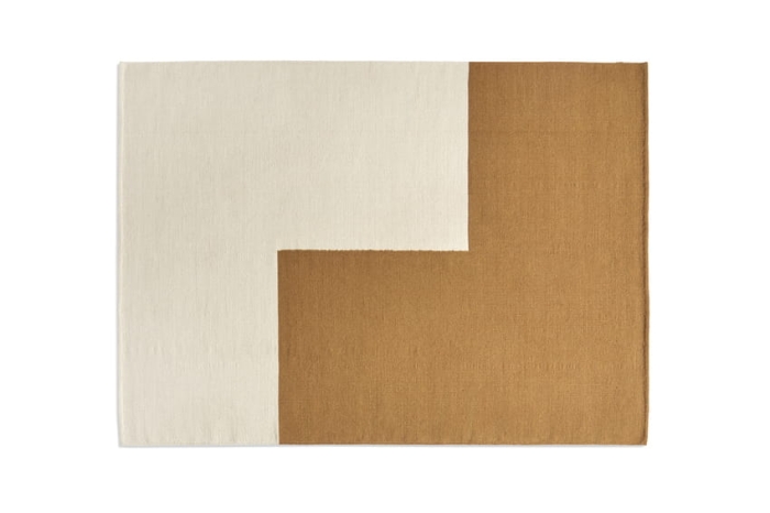 541392_Ethan Cook Flat Works 170x240 brown L.jpg