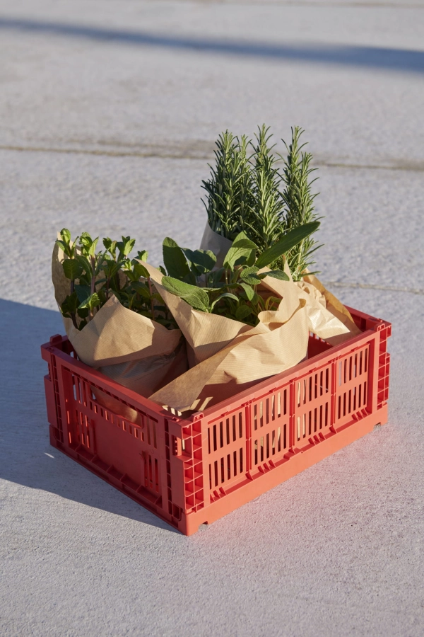 HAY Colour Crate M red.jpg