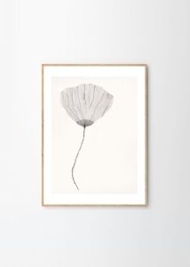 THE POSTER CLUB druk artystyczny POPPY