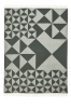 Mirror Throw (Green).jpg