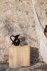 fermLIVING-SS22-IsolaStorageTable-VersoJug-image-1.jpg