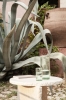 fermLIVING-SS22-OliWaterGlassTall-OliJug-image-1.jpg
