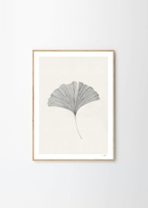 THE POSTER CLUB druk artystyczny GINKGO LEAF