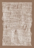 t6.jpg